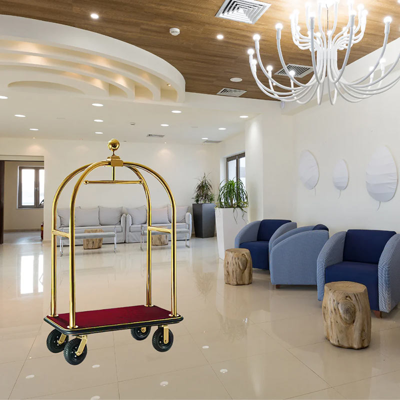 Stainless Steel Birdcage Luggage Trolly