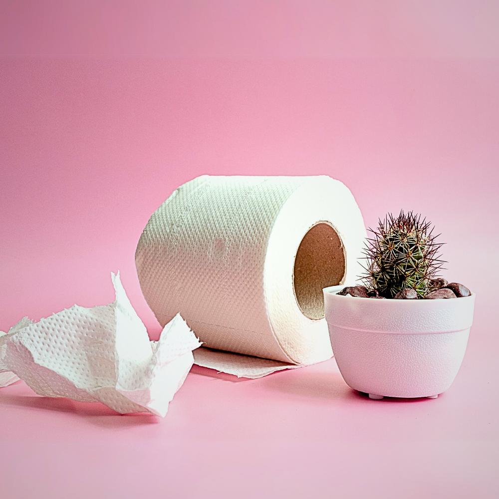 Toilet tissue roll. Essential bathroom product for hygiene and comfort.