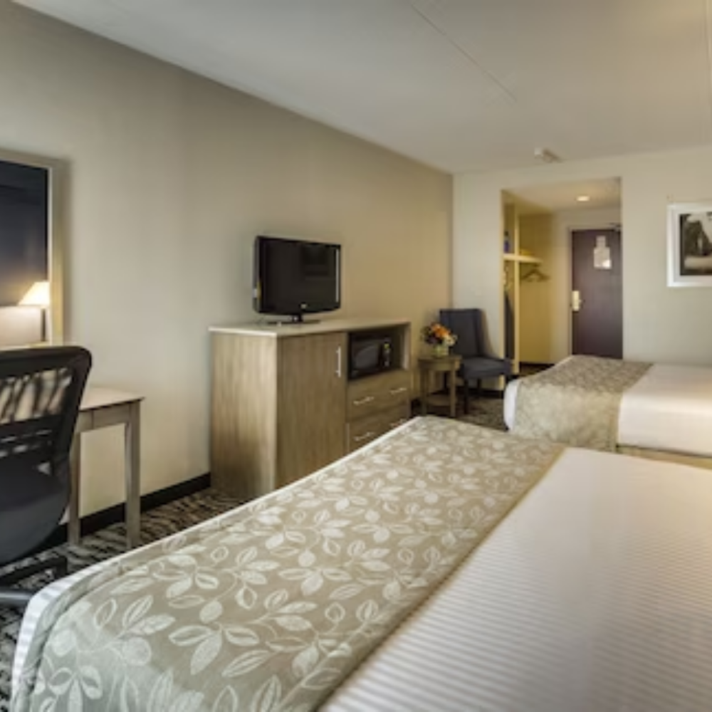 A hotel room with two beds that have white sheets. Towards the end of the beds there are beige bed scarf/ bed runner with off white designs facing a dresser with a TV. 