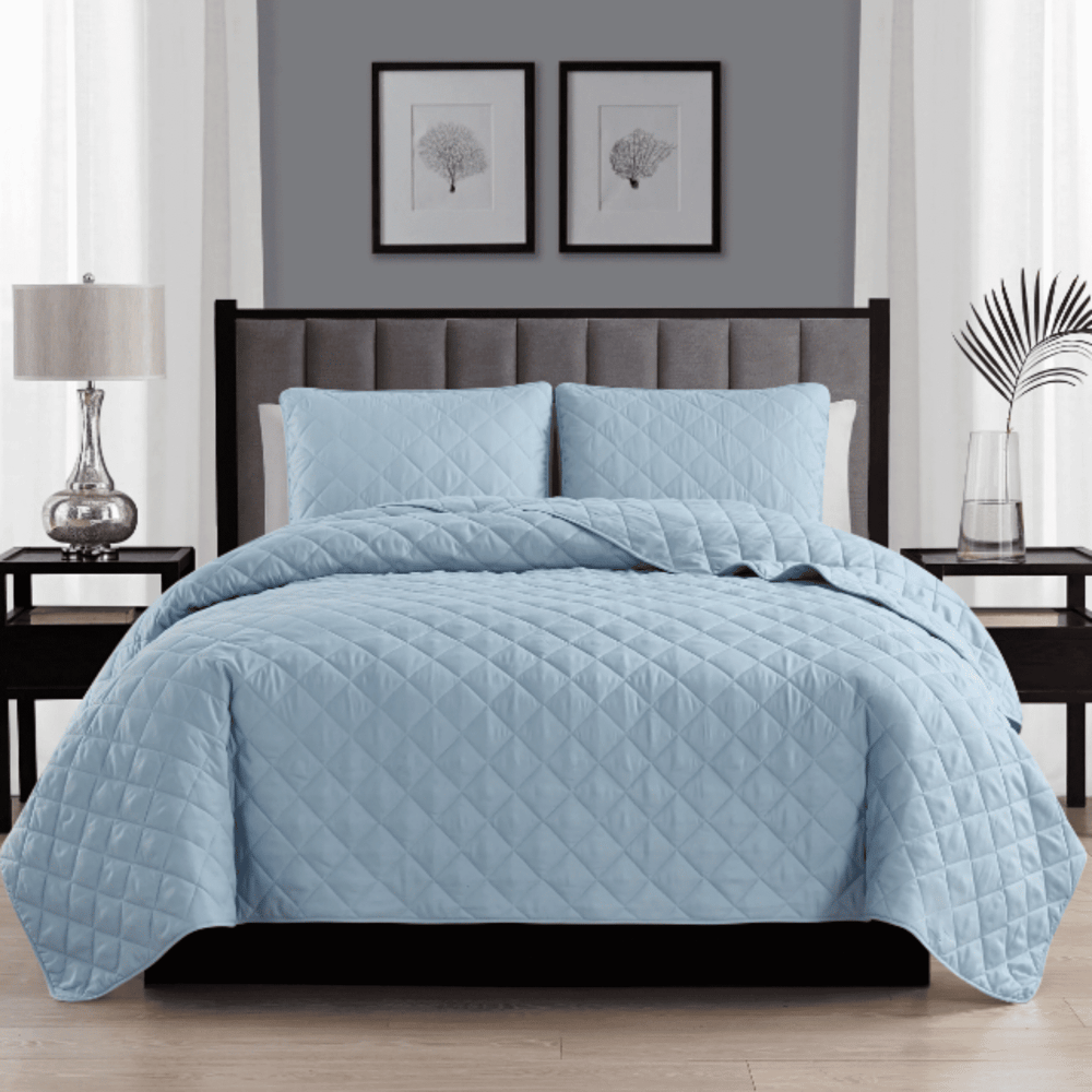 3 piece Quilt set - Blue