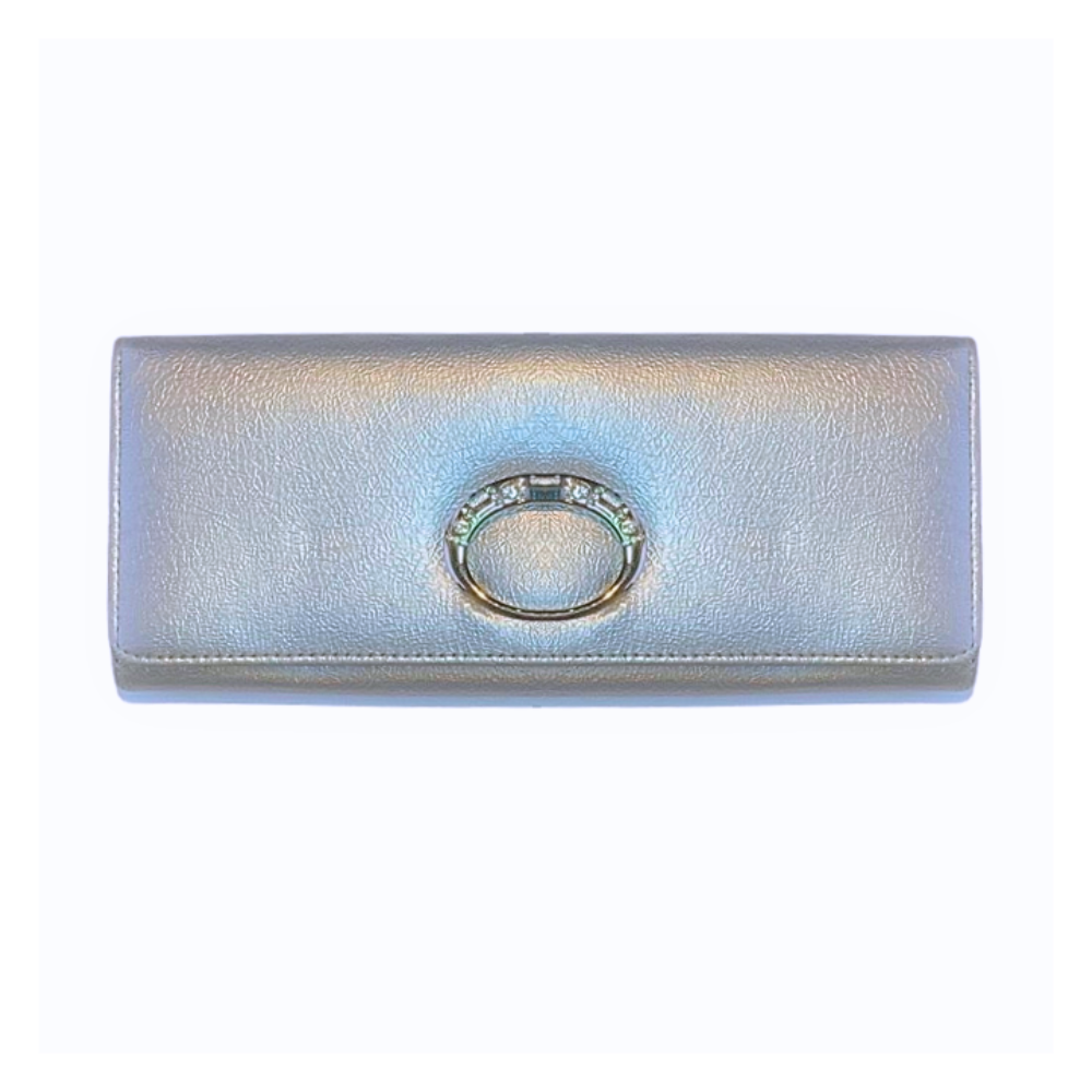 Silver Clutch - oval handle